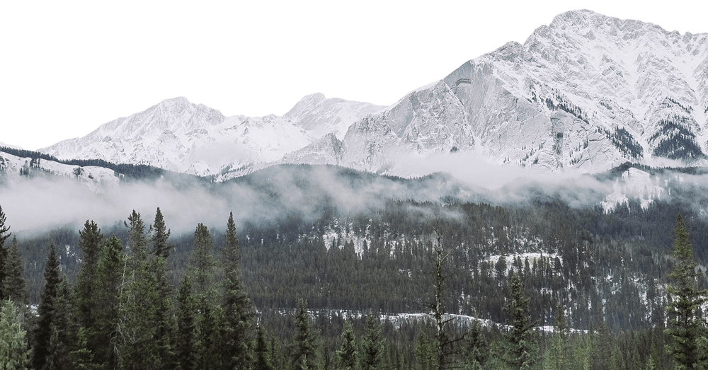 Rocky Mountains, Trees and snow